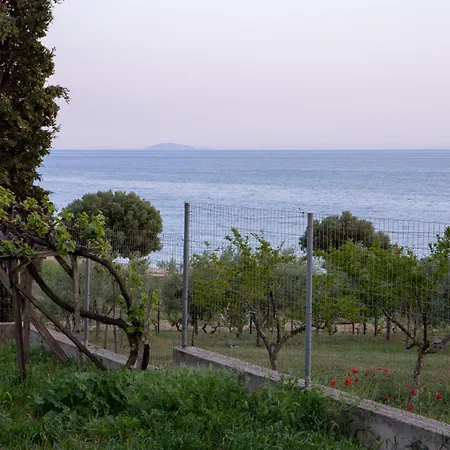 3 Olive Trees -retreat House Ormília
