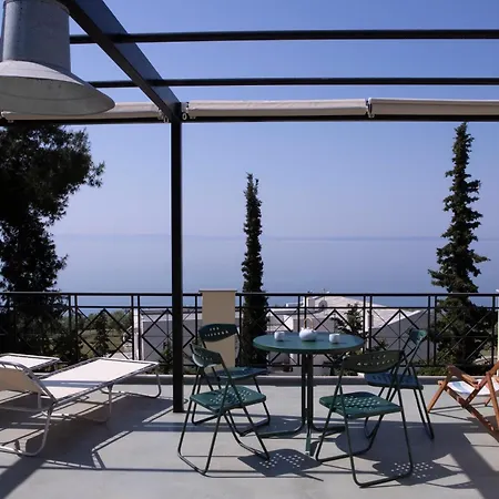 3 Olive Trees - Sithonia *
