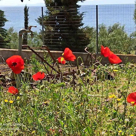 Tatil Evi 3 Olive Trees -retreat House *