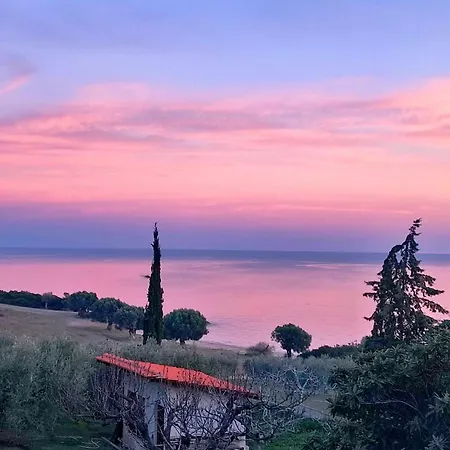 Prázdninový dům 3 Olive Trees - Sithonia Ormília