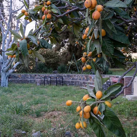 Feriehus 3 Olive Trees - Sithonia Ormília