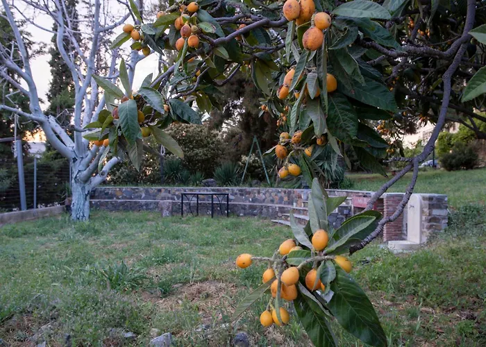 Casa vacanze 3 Olive Trees - Sithonia Ormília