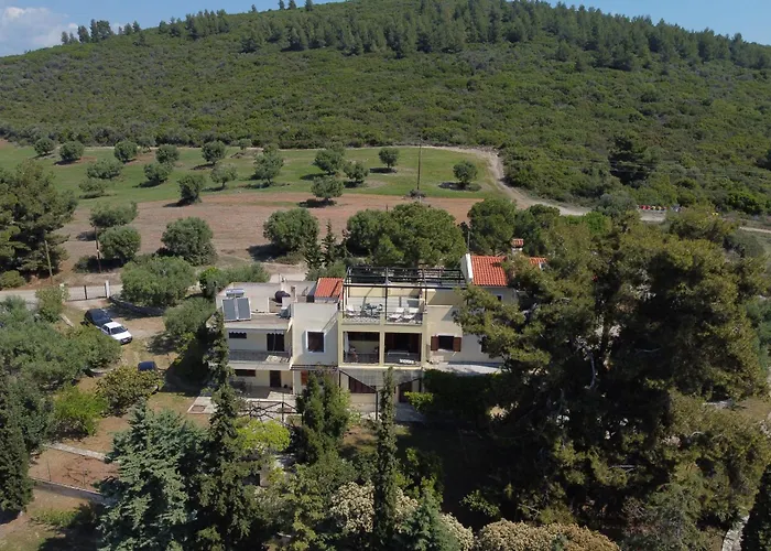 3 Olive Trees - Sithonia Ormília