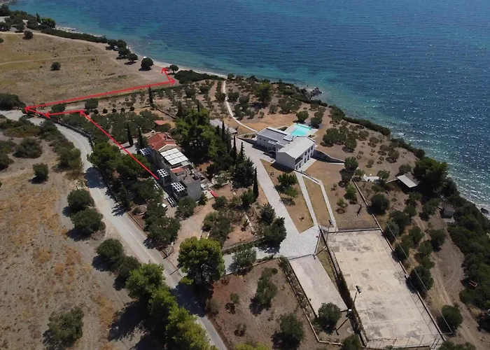 3 Olive Trees - Sithonia *