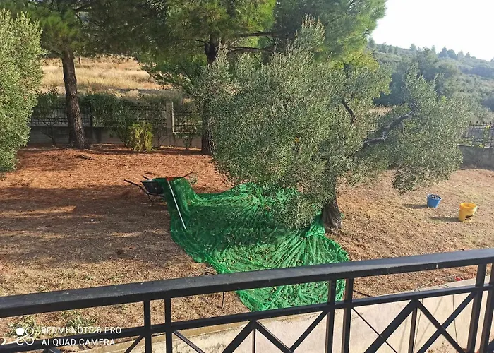 3 Olive Trees - Sithonia Casa vacanze Ormília