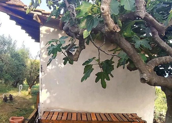 Casa vacanze 3 Olive Trees - Sithonia