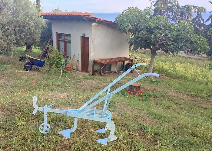 Casa vacanze 3 Olive Trees - Sithonia *