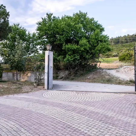 3 Olive Trees - Sithonia *