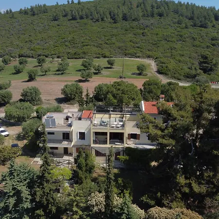 3 Olive Trees - Sithonia Ormília