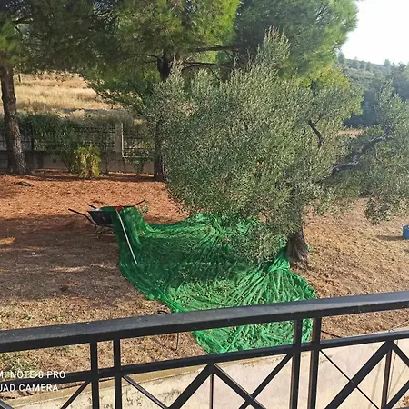 3 Olive Trees - Sithonia 度假居 Ormília