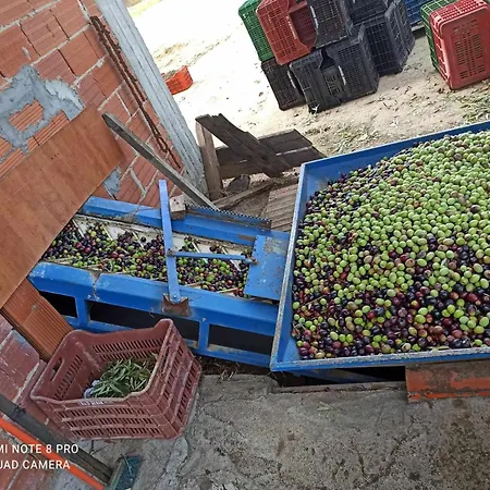 度假居 3 Olive Trees - Sithonia Ormília