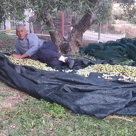 3 Olive Trees - Sithonia 度假居 *