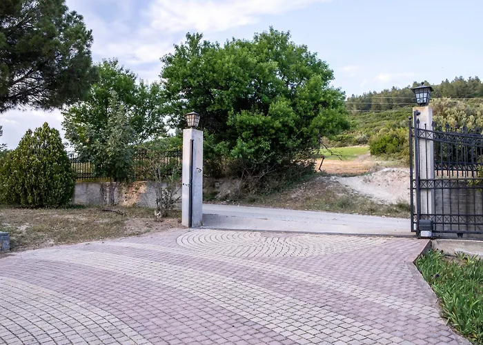3 Olive Trees - Sithonia *